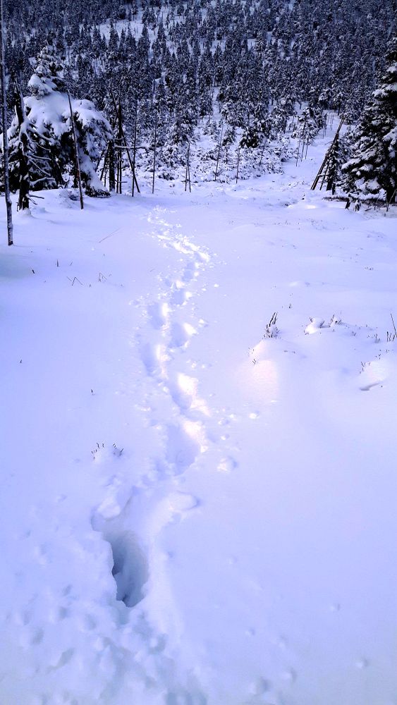 Bořím se až po kolena do mokré kaše