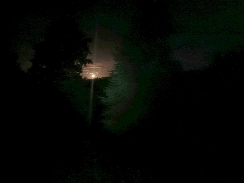 Úplněk před svítáním