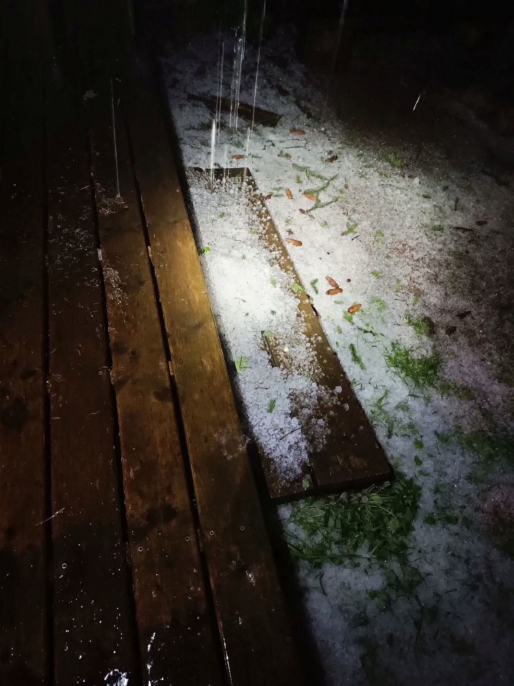 Stihl jsem to právě včas