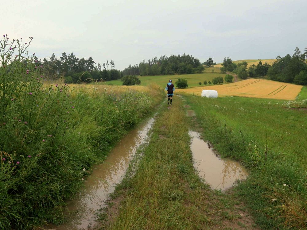 Všude bláto, kaluže #1 Lomnická