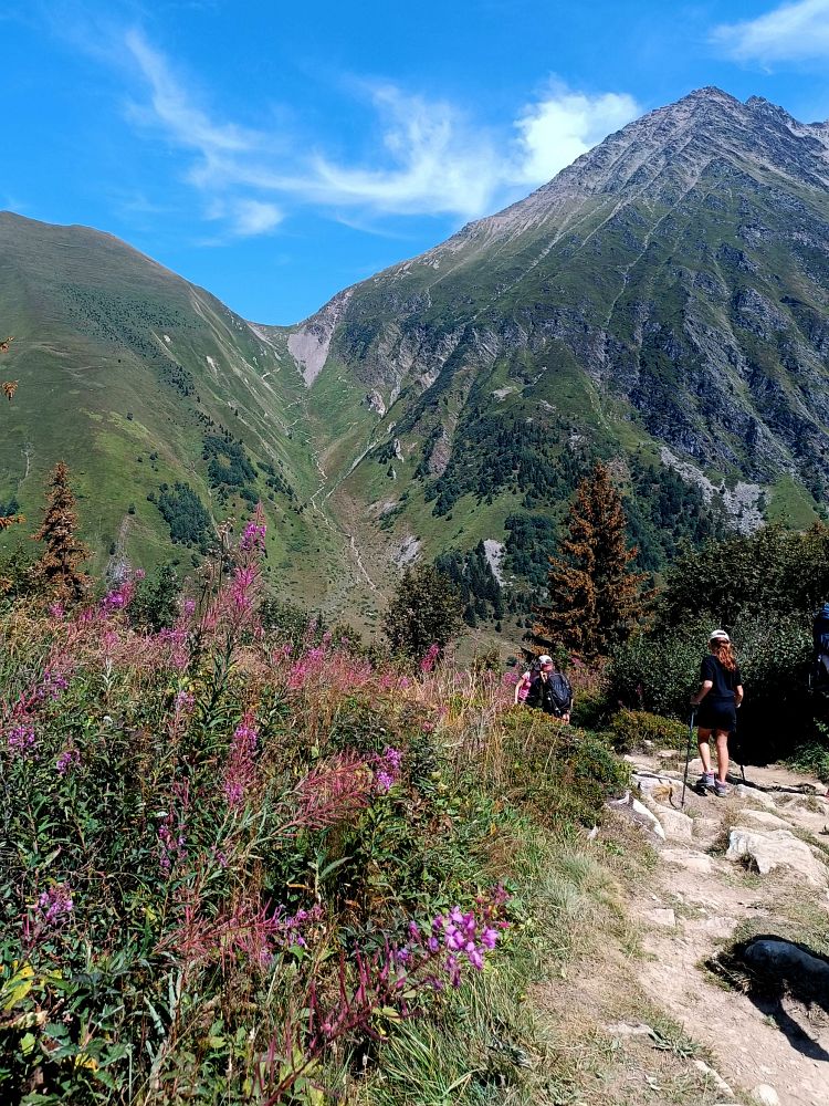Seběh na Refuge de Miage a pak nahoru na sedlo Col de Tricot