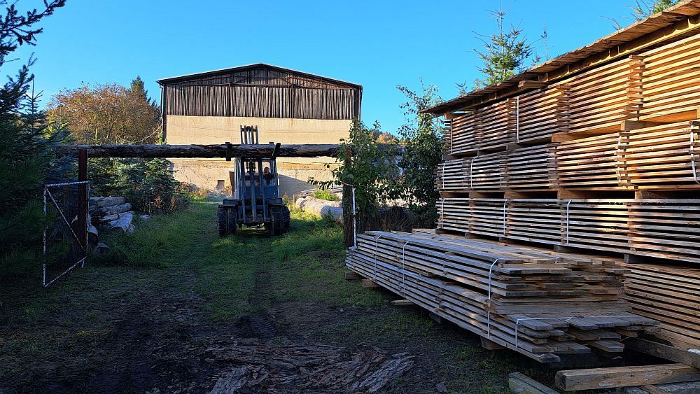 Vezu 9m kládu (fotil Frantis)