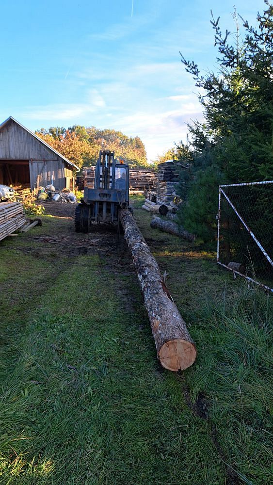 Ale protáhnu se (fotil Frantis)