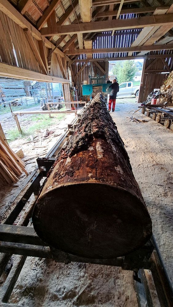 Je to pěknej macek (fotil Frantis)