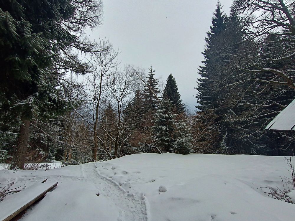 Počasí nepřeje ani druhý den