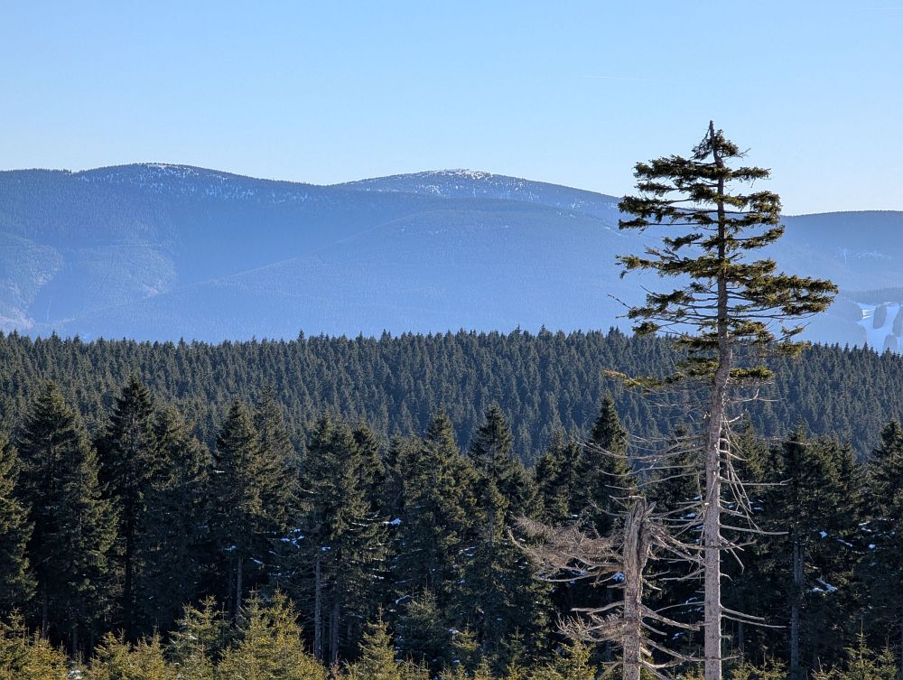 Šerák (fotil Frantis)