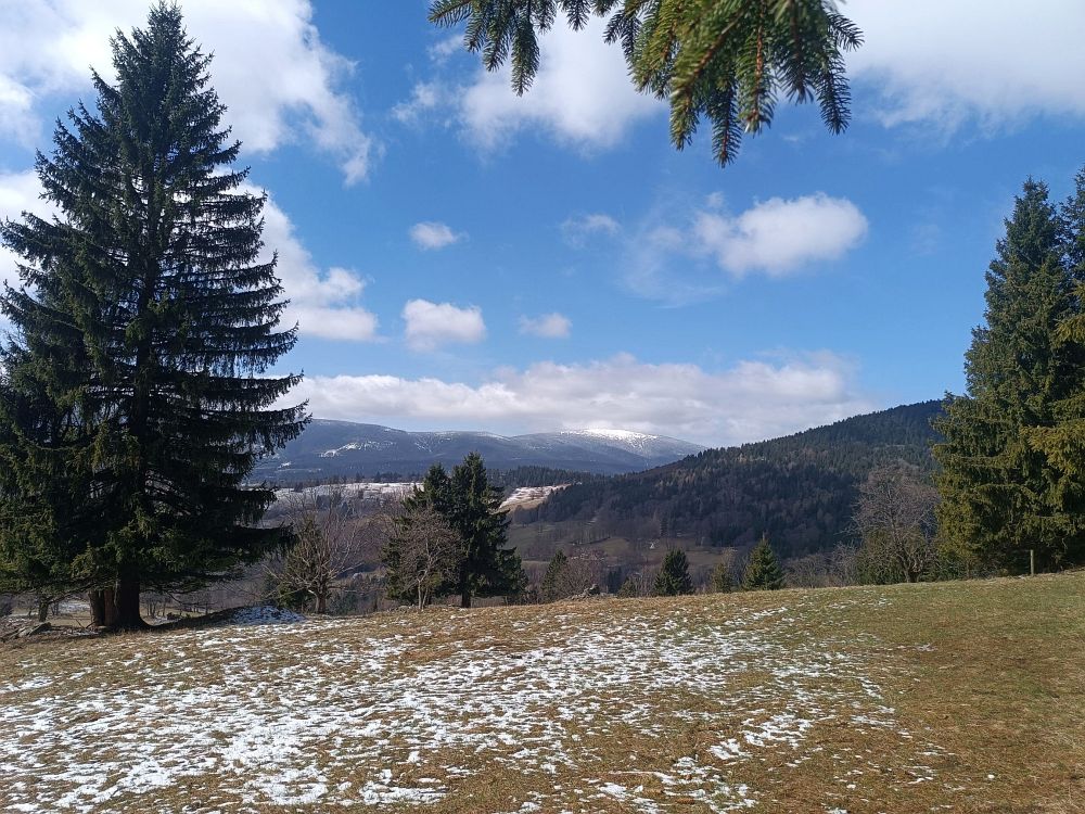 Kraličák