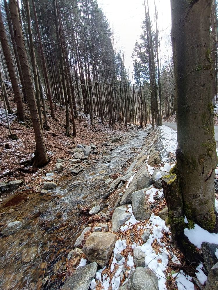Kunčický potok a horská silnička na Paprsek