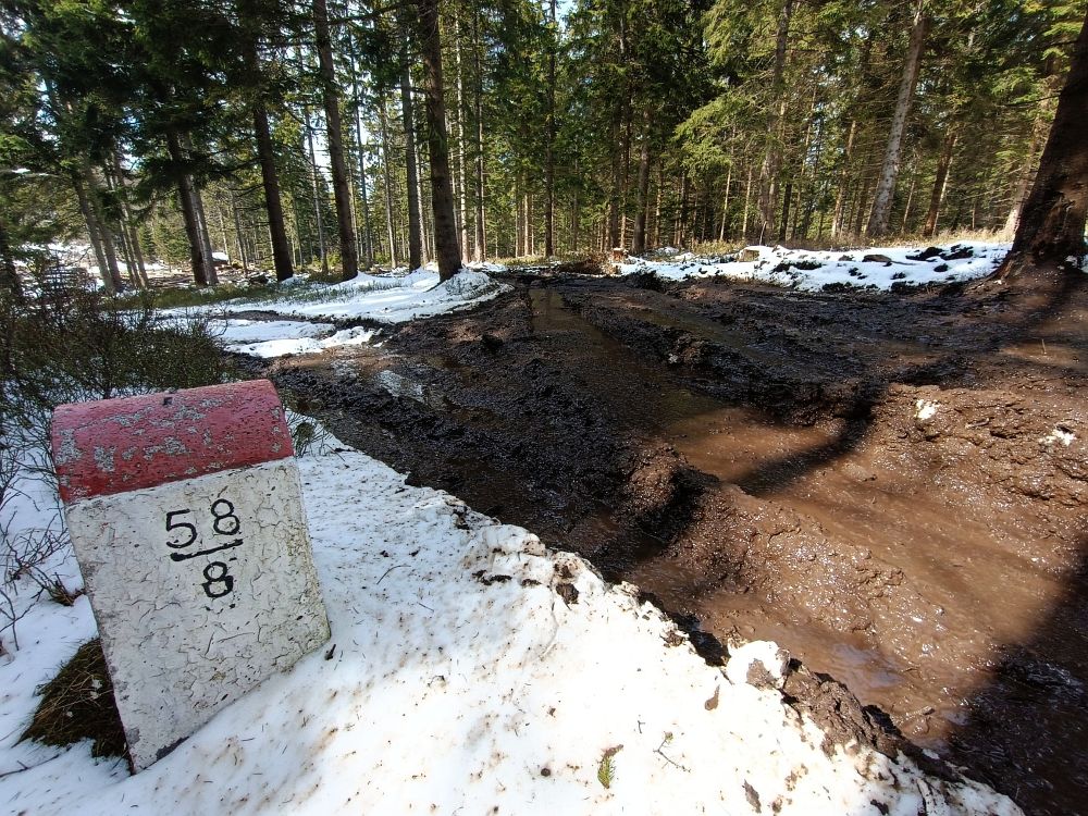 Polští dřevorubci udělali z hraniční cesty z Kladského sedla tankodrom